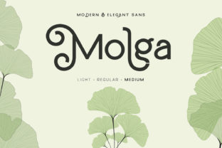 Molga: A Sweet and Cool Display Font for Modern Clarity